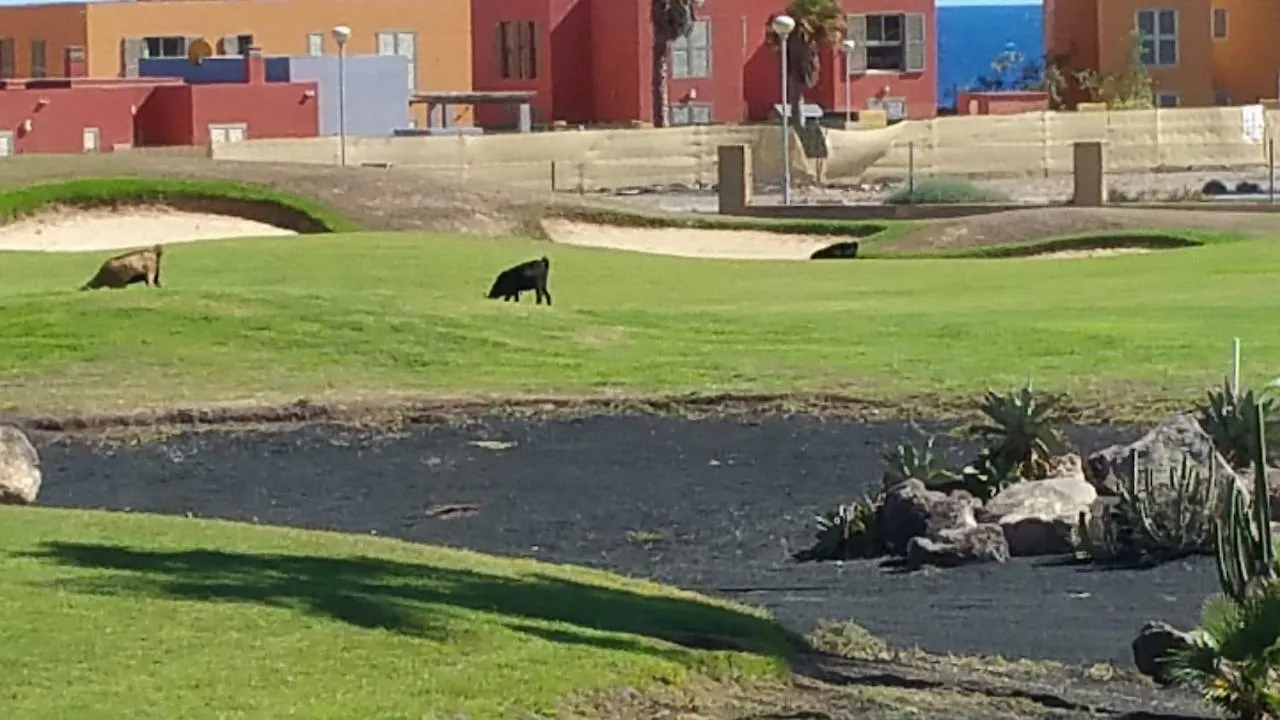 Villa Brisa Golf Salinas Caleta De Fuste